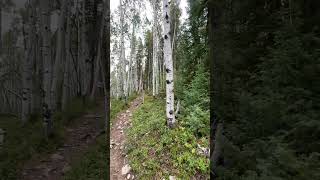 POV Trail Running  10k Colorado [upl. by Brandais]