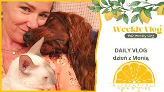 112 DAILY VLOG dzień z Monią 🍋🍋 WeeklyVlog [upl. by Grata]