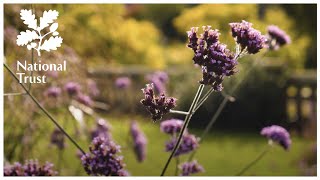 Go behind the scenes at Bodnant  a garden of secrets  with the National Trust [upl. by Emmit]