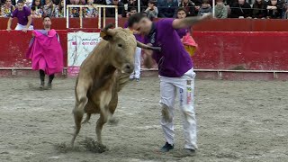 CONCURSO DE RECORTADORES BERGARA 2024 [upl. by Kared]