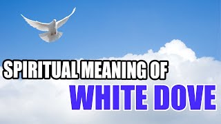 Spiritual Meaning of White Dove  Sign Meaning [upl. by Caniff13]