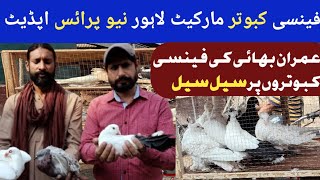 Fancy Piegons Market Updates l Lahore lari adda Visit l Kabutar Prices Today l haiderbirdzone [upl. by Aimal632]