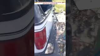 MUJER DENUNCIA EJECUCIÓN EXTRAJUDICIAL EN REYNOSA 🇲🇽 [upl. by Ateiluj813]