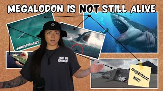 JUNKSPIRACIES Megalodon is NOT still alive [upl. by Adil]