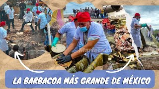 La Barbacoa más grande del mundo🐑 en Dajiedhi Actopan hidalgo barbacoa actopan hidalgo mexico [upl. by Ob]