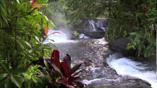 Discover Costa Rica [upl. by Bess]