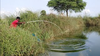 🐠TALAPIA fishingPOLE fishingcatching fihes with earth worms [upl. by Ytinav273]