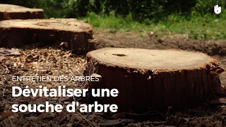 Dévitaliser une souche darbre  Entretenir vos arbres [upl. by Ecaj736]