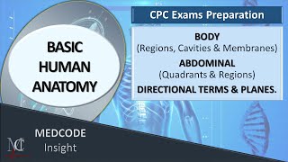 medical coding basic human anatomy [upl. by Osborne]