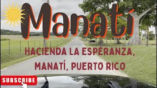 Manati PUERTO RICO in 4K La Esperanza Natural Reserve [upl. by Aihsetal]