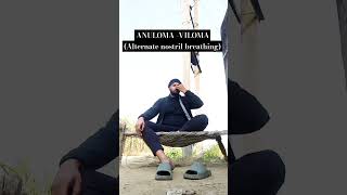 Trying anuloma viloma aka alternate nostril breathing pranayama yoga [upl. by Gildea513]