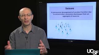 Daniel H Lowenstein MD Seizures and Epilepsy Part 2 Neuronal Properties Factors and Causes [upl. by Nerfe]