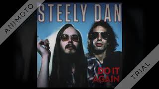 Steely Dan  FM No Static At All 45 single  1978 [upl. by Venus]