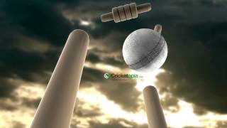 Cricket Stump animation 02 [upl. by Ermina]