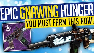 Destiny 2  EPIC GNAWING HUNGER How To Get The CURATED Legendary Auto Rifle  DO THIS TODAY [upl. by Zoeller932]