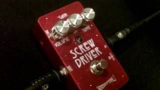 Skreddy Screwdriver Demo w Les Paul [upl. by Ynaiffit]