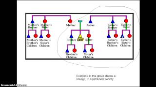 Kinship presentation [upl. by Adnahs]