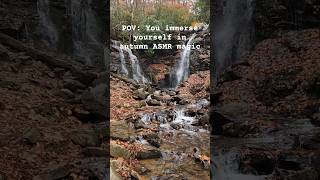 Immerse yourself in an autumn wonderland  ASMR  Soco Falls North Carolina [upl. by Cedar]