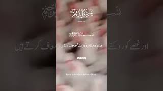 transletionquran urdupoetry bayan fullqurantranslation love quotes quranictranslation [upl. by Callean270]