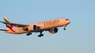 Emirates B777300ER Landing at Larnaca Airport  Stunning Sunset at Makenzie Beach [upl. by Shaddock]