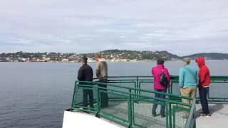 Ferry from Coupeville Whidbey Island to Port Townsend WA [upl. by Camarata]