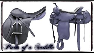 parts of a saddle [upl. by Ivanah67]