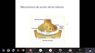 Toxicología Ambiental Clase 2 [upl. by Werna117]