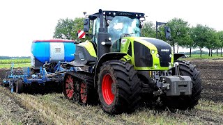 De nieuwe CLAAS Axion 960 Terra Trac in actie op het Groninger land [upl. by Soble578]