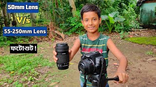 50mm Lens VS 55250mm Lens  কে জিতবে Canon 200d Mark ii Photography  Canon 200d Mark ii 🔥 [upl. by Cull]