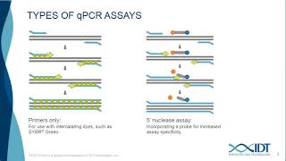 Design and optimize high multiplexing digital PCR assays with the naica® system [upl. by Rebna]