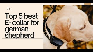 Top 5 Best Ecollar For German Shepherd [upl. by Ecnedac]