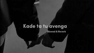 Kade Ta Tu Avenga  Slowed  Reverb   Runbir  Lofi Legacy  Trending [upl. by Aicilec]