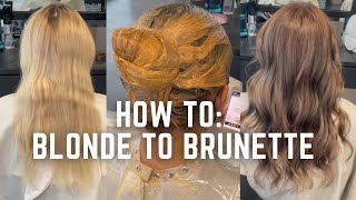 Blonde to Brunette hair transformation  dying hair back to natural tutorial [upl. by Aluino]