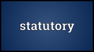 Statutory Meaning [upl. by Murtagh]