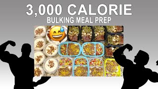 3000 Calorie Bulking Meal Prep  18 meals in 1 Hour [upl. by Sinoda]