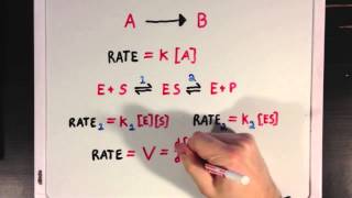 An Introduction To Enzyme Kinetics [upl. by Ilamad]