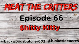 Meat the Critters Episode 66 hitty Kitty [upl. by Ricardama]