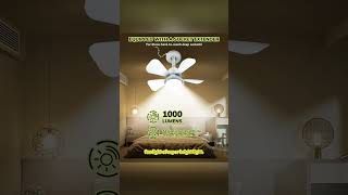 Socket Fan Light Ceiling Fans with Lights [upl. by Hgielac]