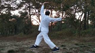 TRY WUDANG QIGONG [upl. by Treat]