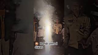 bandi chhod diwas diwali apna vlog [upl. by Nived538]