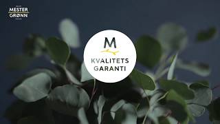 Kvalitetsgaranti på alle blomster og planter [upl. by Stucker]