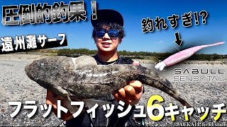 遠州灘でこのワーム釣れすぎ！圧倒的釣果フラットフィッシュ6キャッチ！ [upl. by Gulgee]