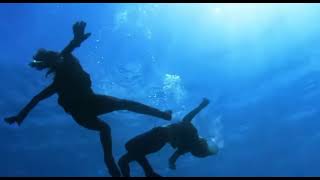 Full Tani Underwater Fight from Hawaii Five0 [upl. by Eojyllib]