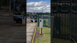 So Many Buses At Ryde Depot Flimed On 25th October [upl. by Goodhen475]