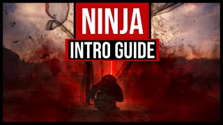 Bdo Ninja succession  Intro guide 2020 [upl. by Feinleib275]