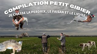 Chasse compilation petit gibiersaison 2024 [upl. by Narib]