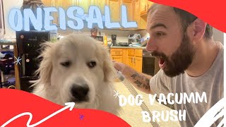 Oneisall Dog Vacuum Brush Review  Shedding Grooming [upl. by Ettennat]