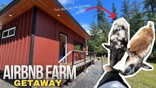 The PERFECT AirBNB for the Animal Lover Welcome to Three Chicken Farm in Powell River BC [upl. by Swain]