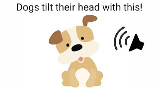 Sounds that makes Dogs tilt their head [upl. by Noonberg]