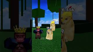 Help admin and roblox doge bloxfruits [upl. by Aowda305]